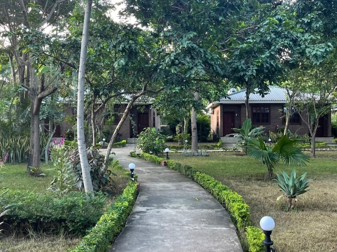 吉力马札罗机场植物园旅馆主图