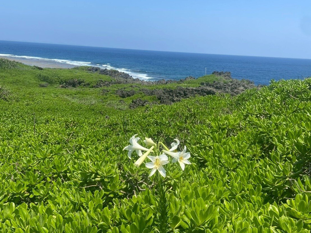 Cape Hedo-国头村必去景点