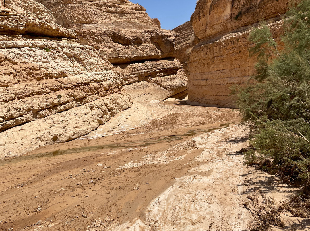 Mides Valley-Tozeur Governorate必去景点