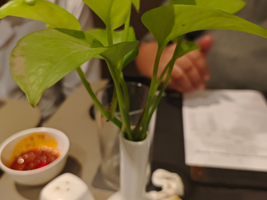 The Fern Residency Vadodara, Series by Marriott主图