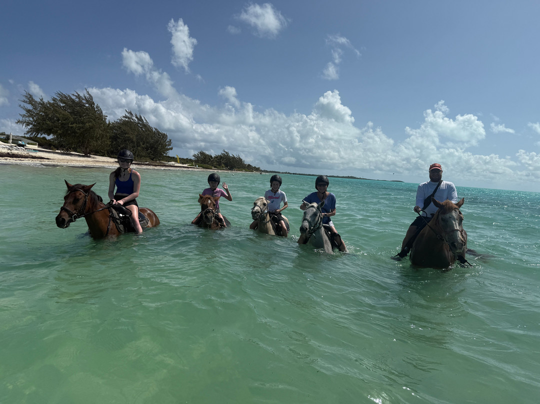 Provo Ponies-Long Bay Hills必去景点