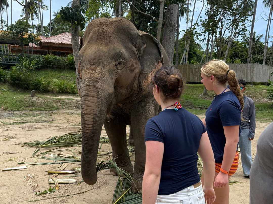 Samui Elephant Sanctuary-波普特必去景点