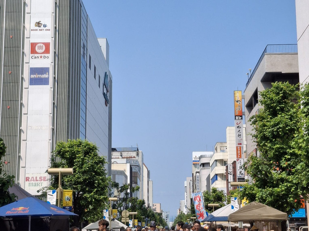 Asahikawa Heiwa Street Shopping Park-旭川市必去景点