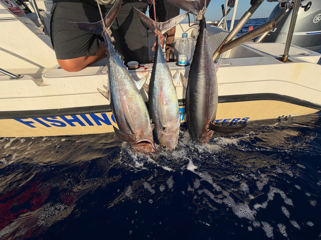 Fishing Mate Cyprus-帕拉林尼必去景点