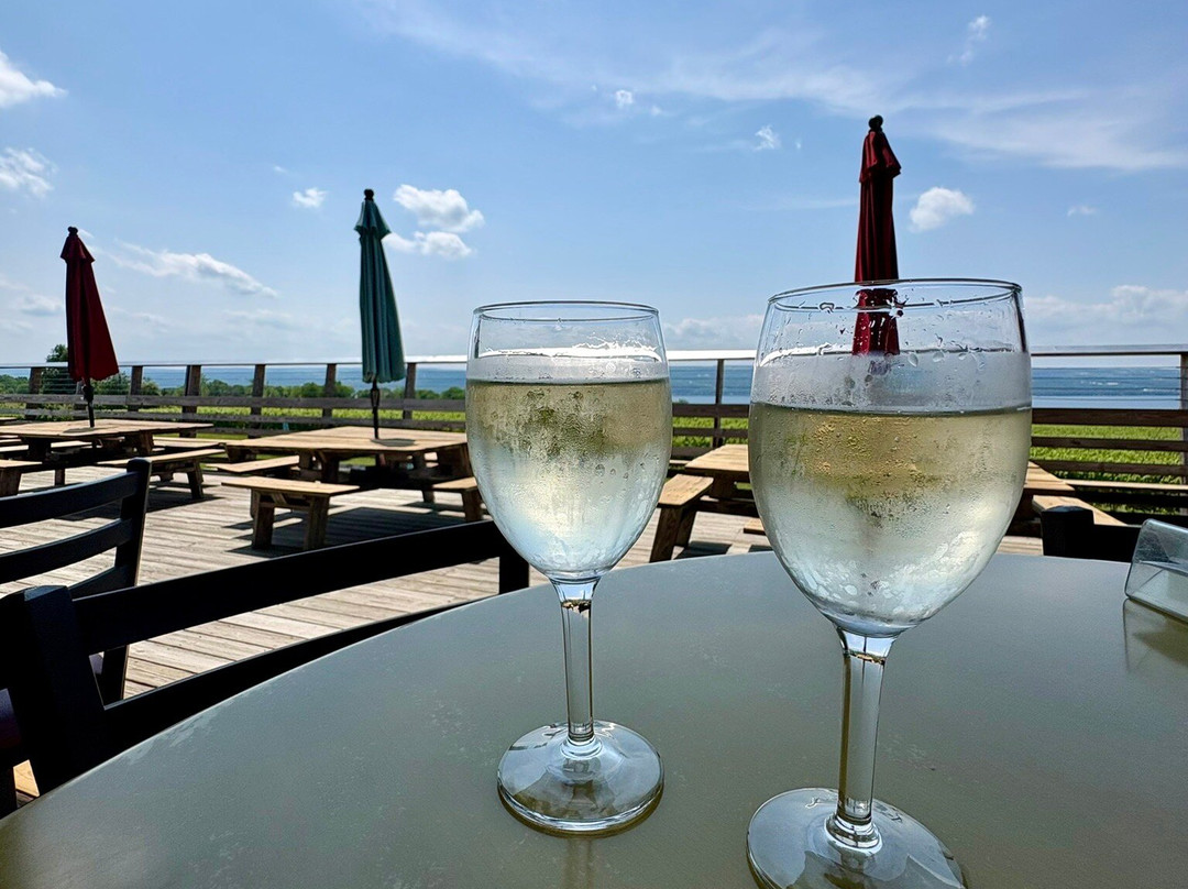Wagner Vineyards-Lodi必去景点