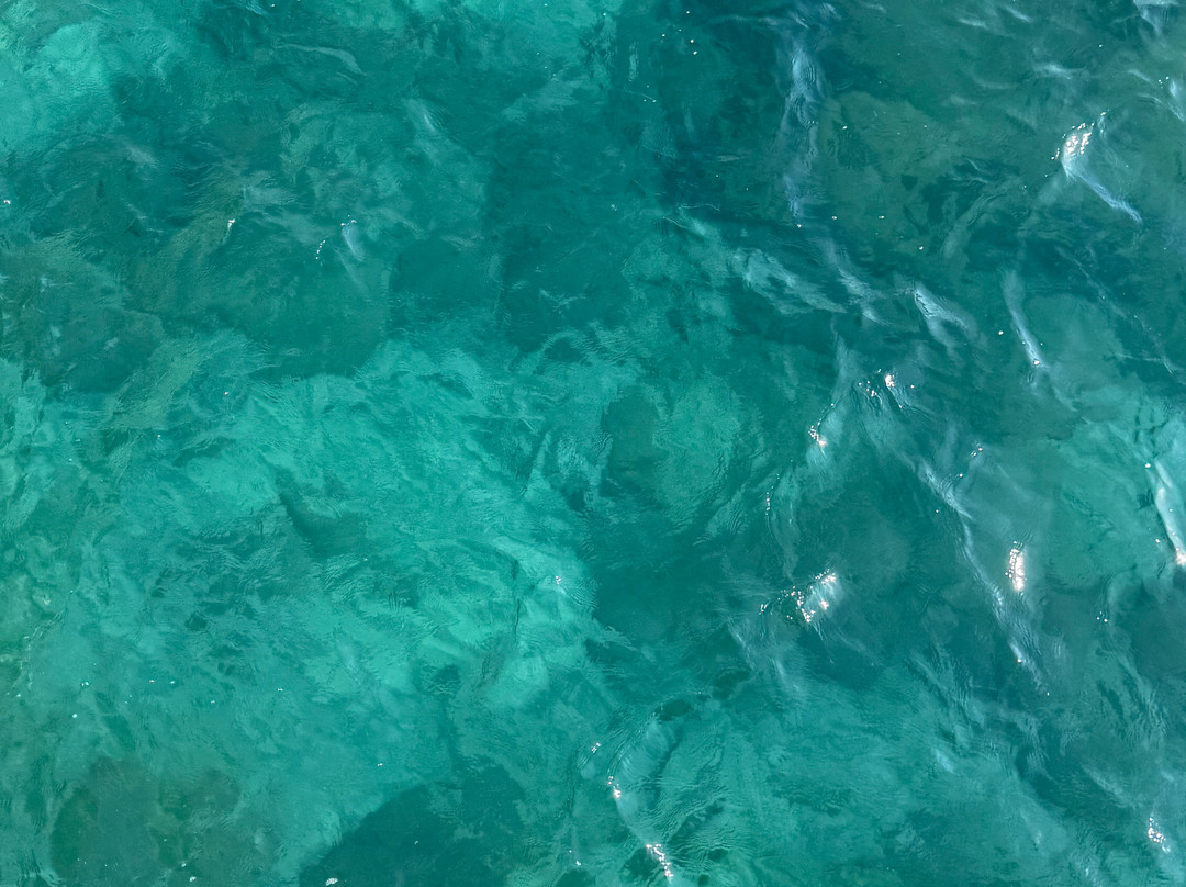 蓝枪鱼豪华温泉度假村 - 全包主图