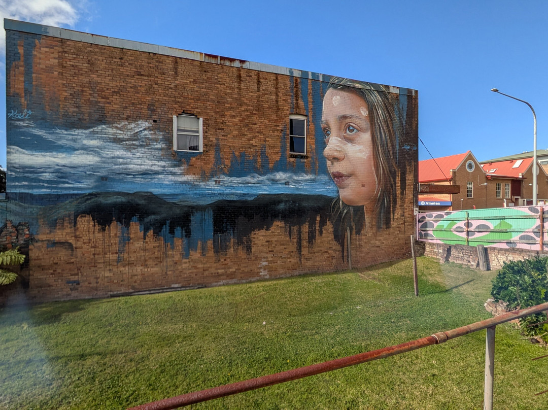 Street Art Walk - by Street Art Murals Australia-卡通巴必去景点