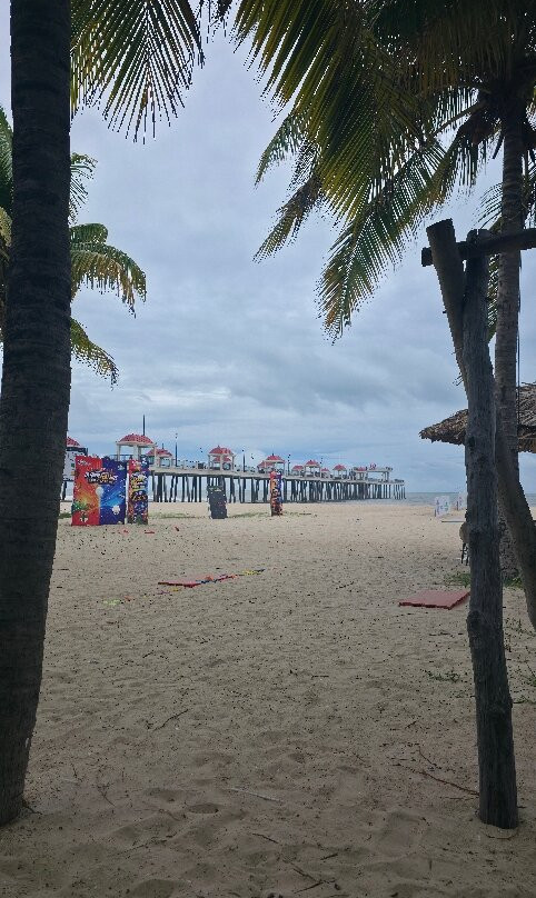 Hamptons Beach Ho Tram