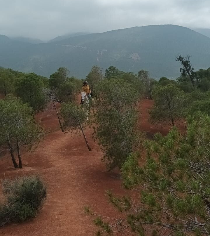 阿特拉斯和撒哈拉之旅-马拉喀什必去景点