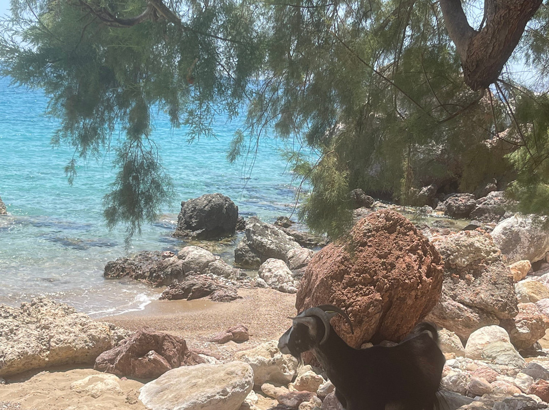 Fish & Fun With Nikos-Stegna必去景点