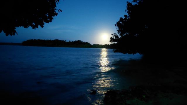 Matevulu Lodge-旅行者