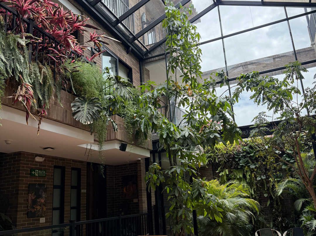 Casa Rosé Hotel主图
