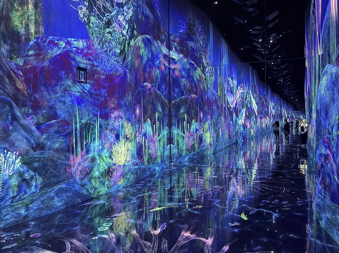 teamLab Planets TOKYO-Toyosu必去景点