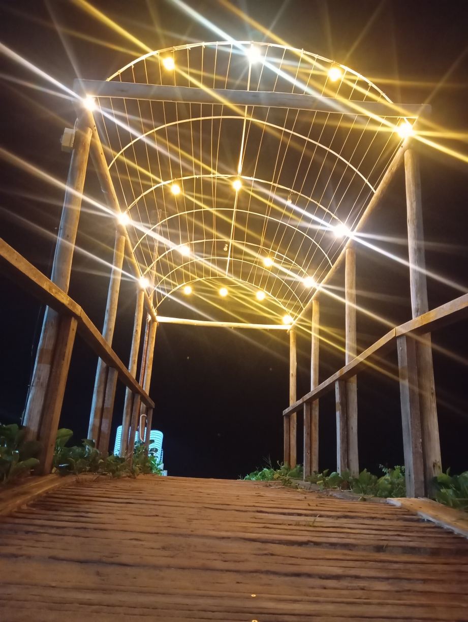 可拉海滨酒店-旅行者