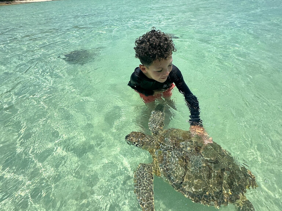 Spanish Wells SeaVentures Excursions | Harbour Island, Eleuthera, Bahamas Guide-Spanish Wells必去景点