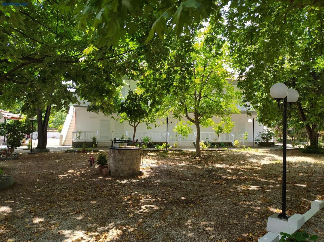 Avli Studios