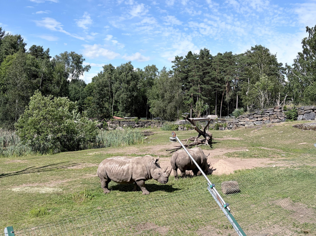 Borås Djurpark-Boras必去景点