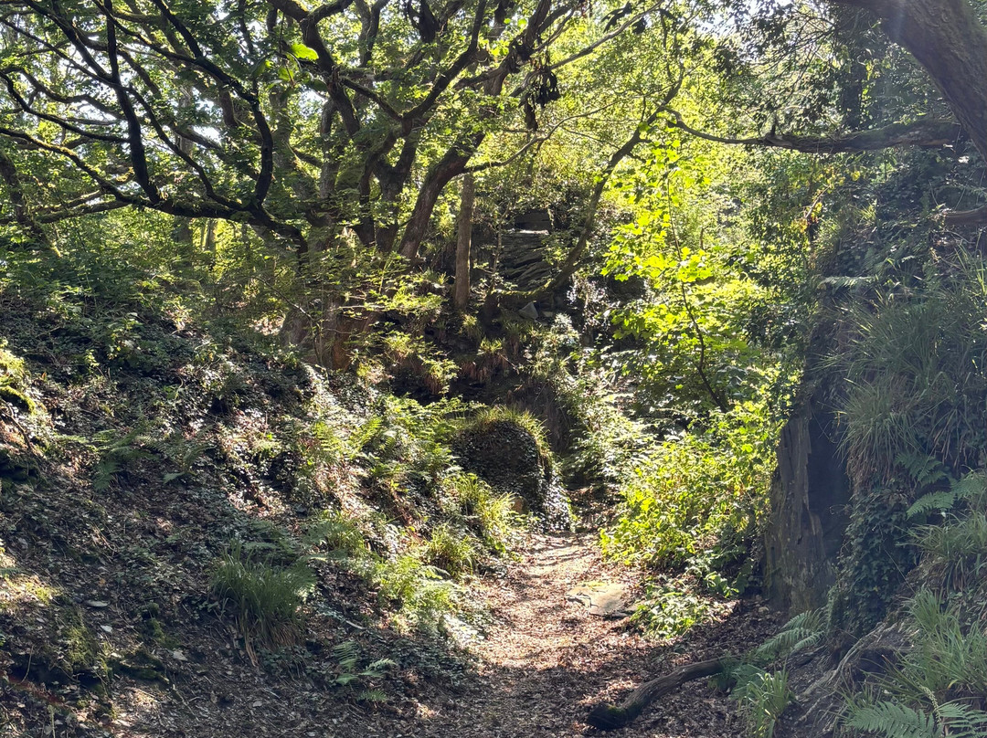 Welsh Wildlife Centre-Cardigan必去景点