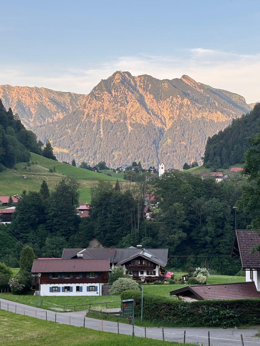 Berghof Rietzler-酒店景观