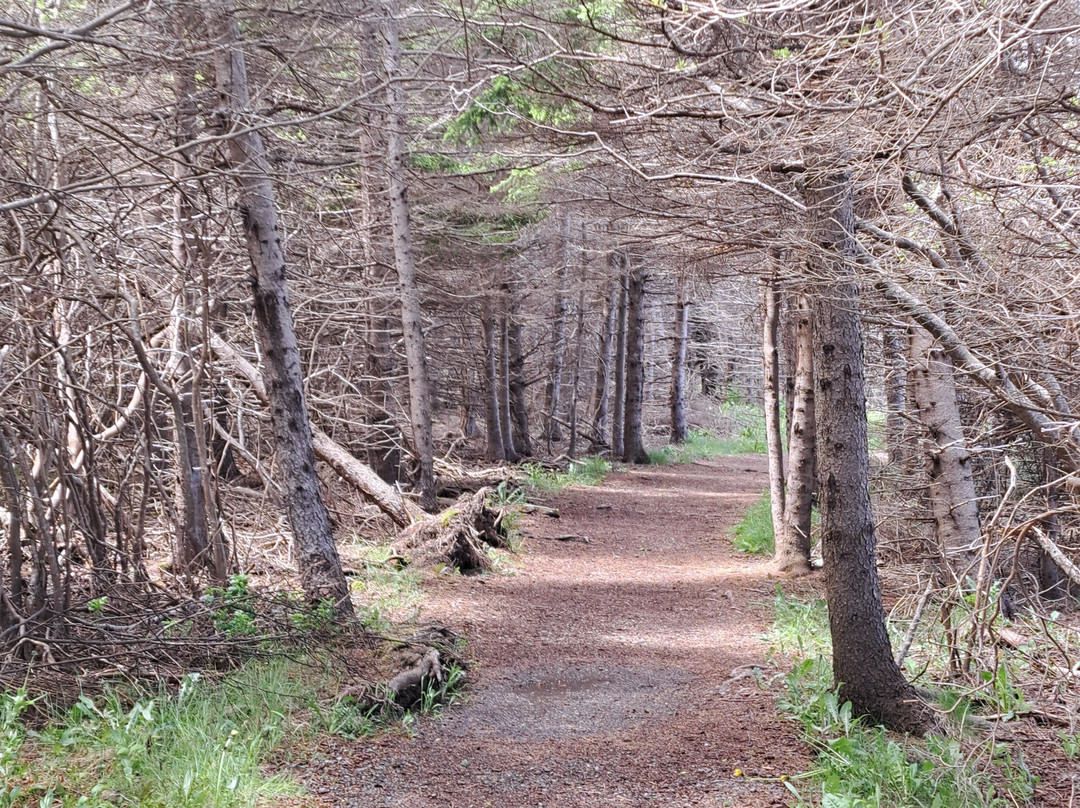 Arisaig Provincial Park-安蒂岗尼希必去景点