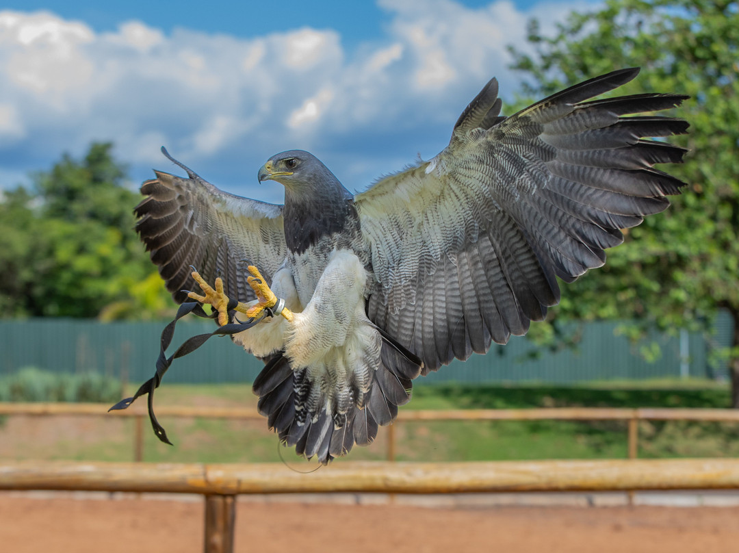 Foz Eco Park Zoo-伊瓜苏必去景点