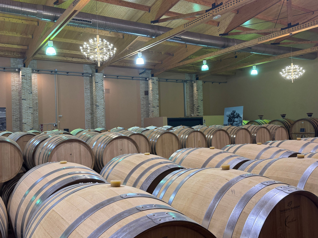 Emilio Moro Bodegas-Pesquera de Duero必去景点