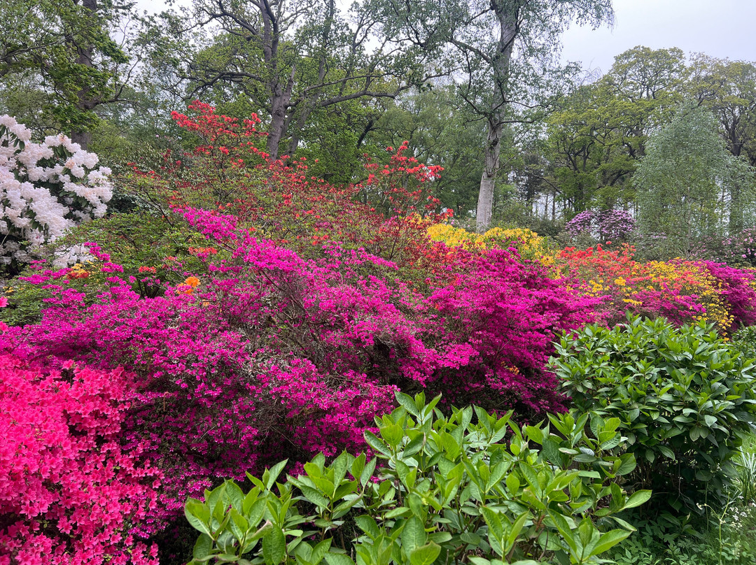 Hoveton Hall Gardens-诺威奇必去景点