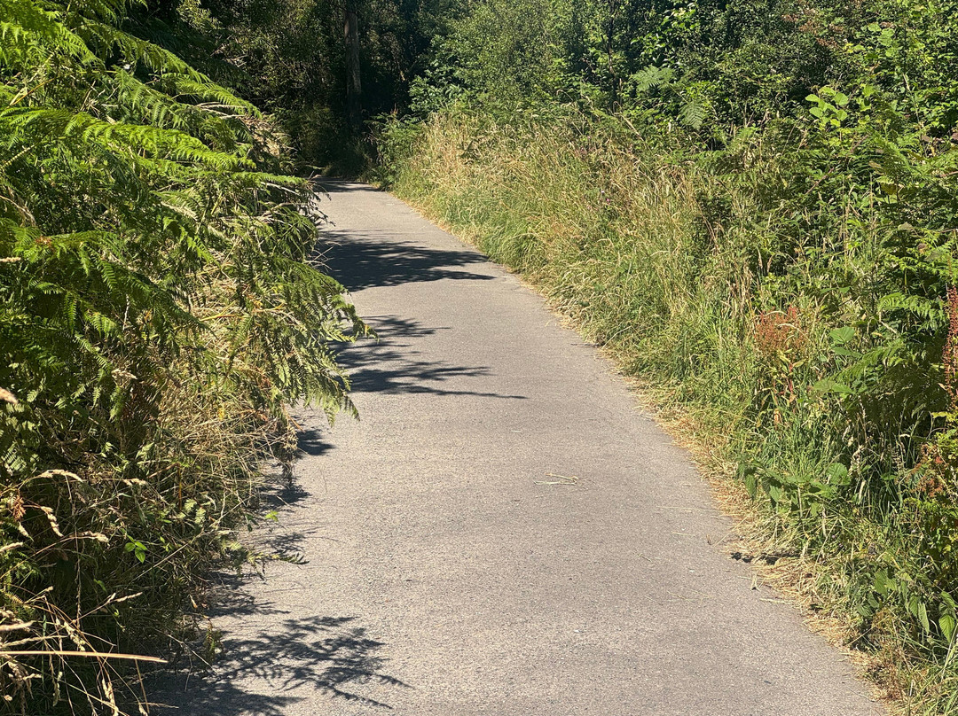 Bull Point Lighthouse-Mortehoe必去景点