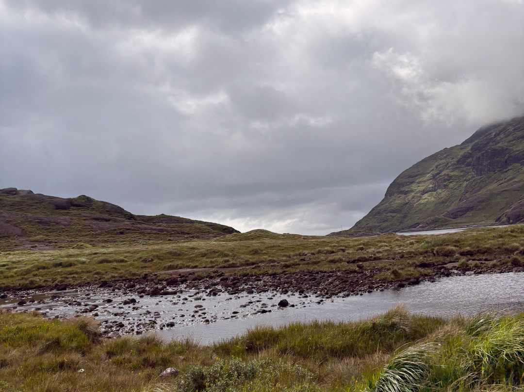 Misty Isle Boat Trips-Elgol必去景点