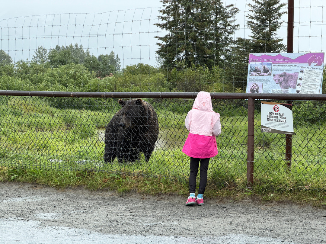 Alaska Wildlife Conservation Center-戈德伍德必去景点