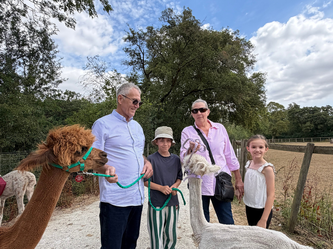 Pennybridge Farm Alpacas-胡克必去景点