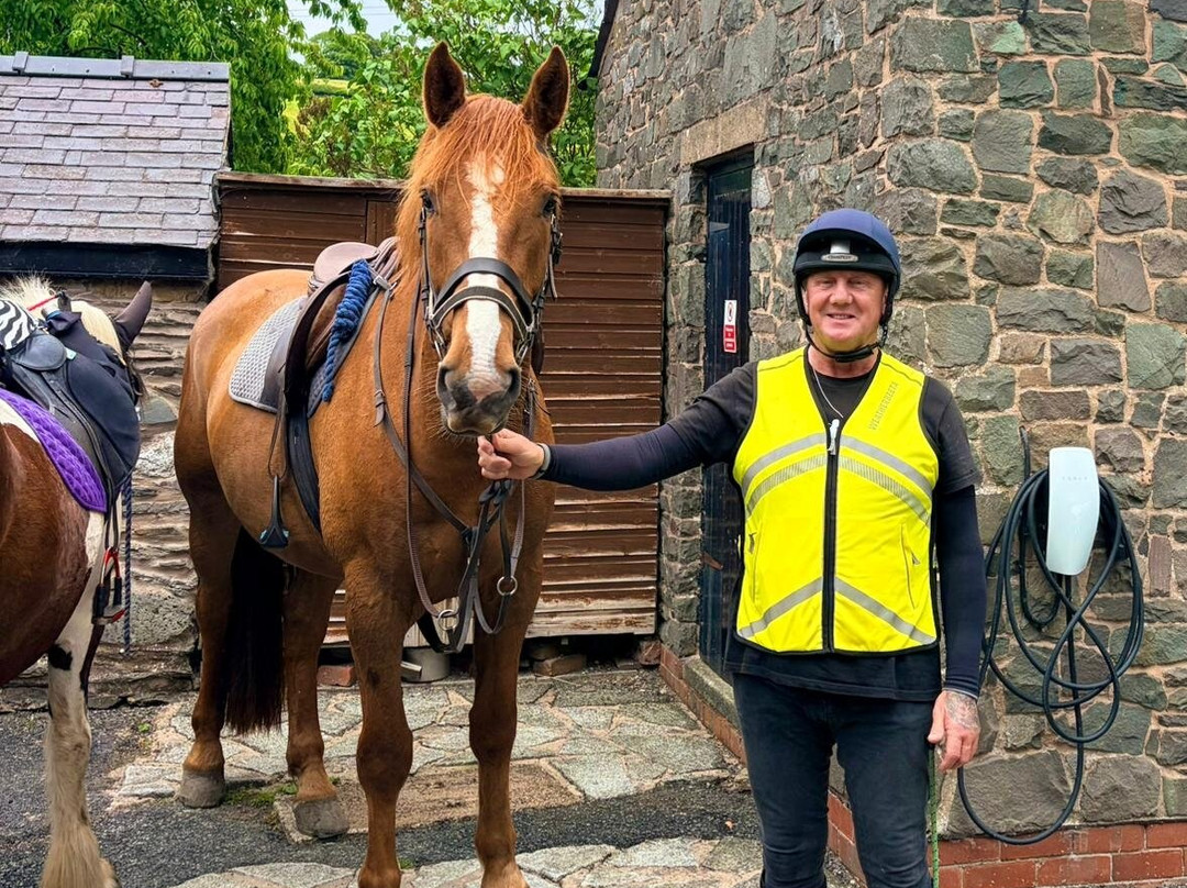 Springhill Farm Riding Stables-奥斯沃斯特必去景点