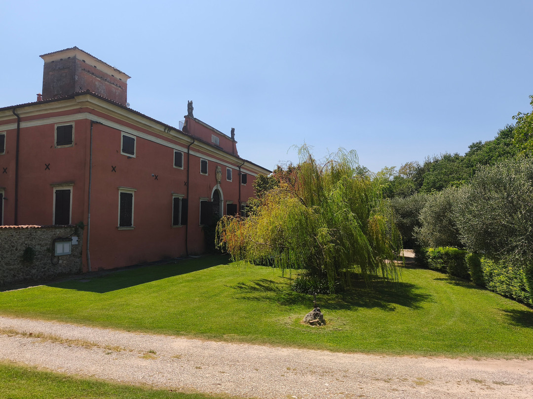 Agriturismo Palazzo di Monteoliveto主图