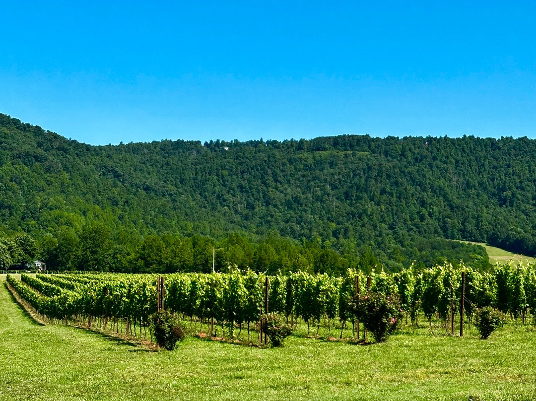 Afton Mountain Vineyards-Afton必去景点