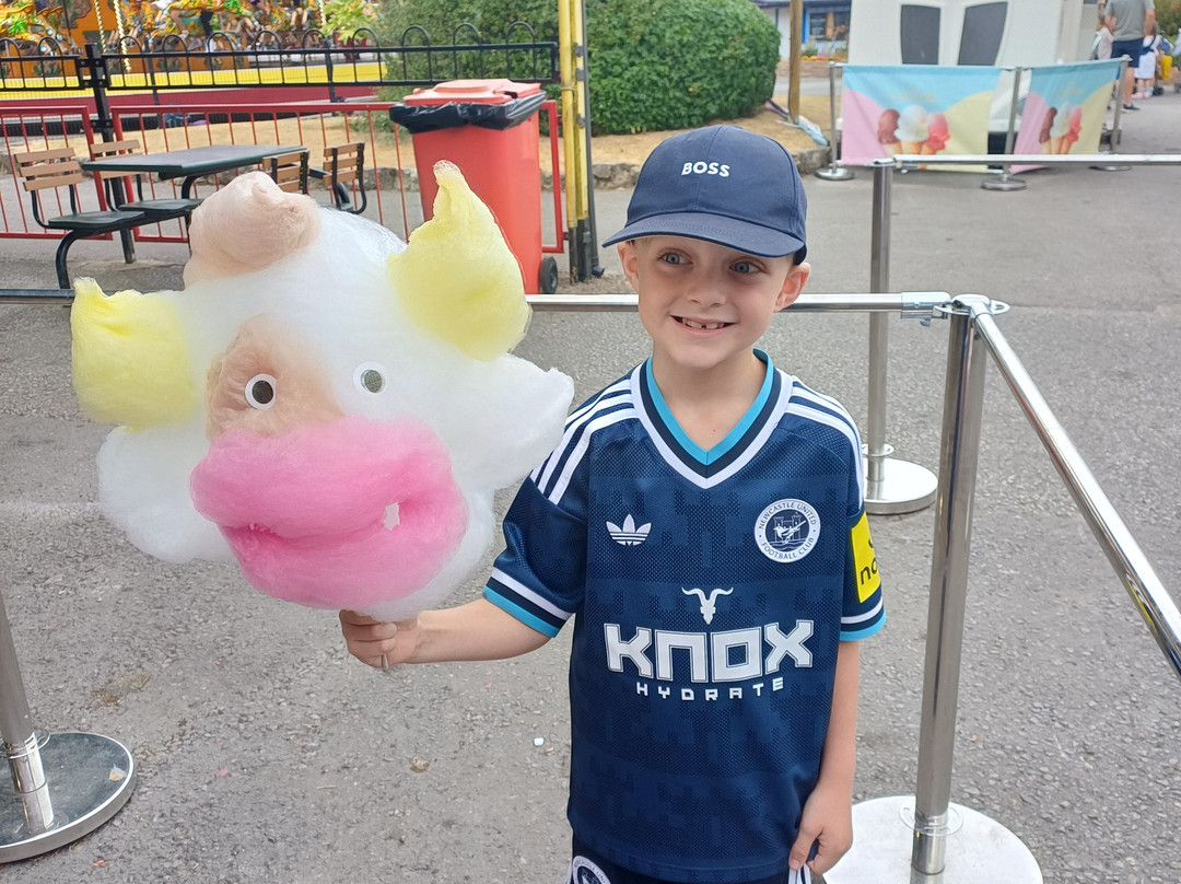 Lightwater Valley Family Adventure Park-North Stainley必去景点