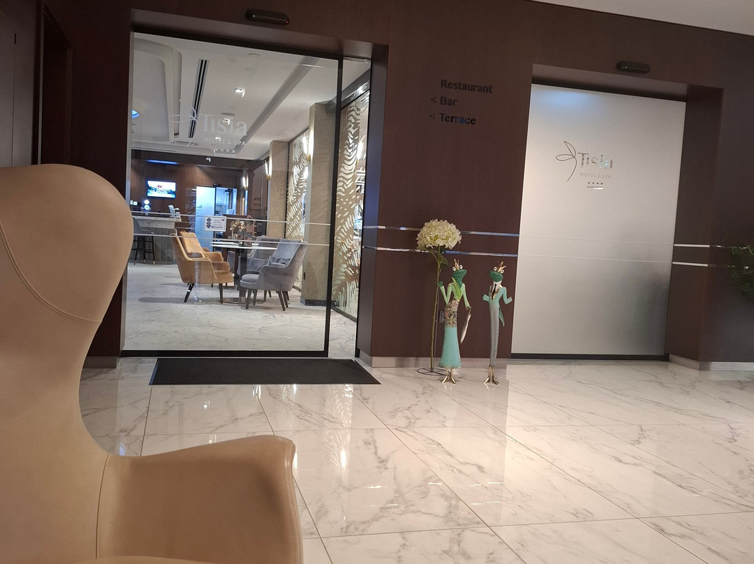 Tisia酒店及Spa主图