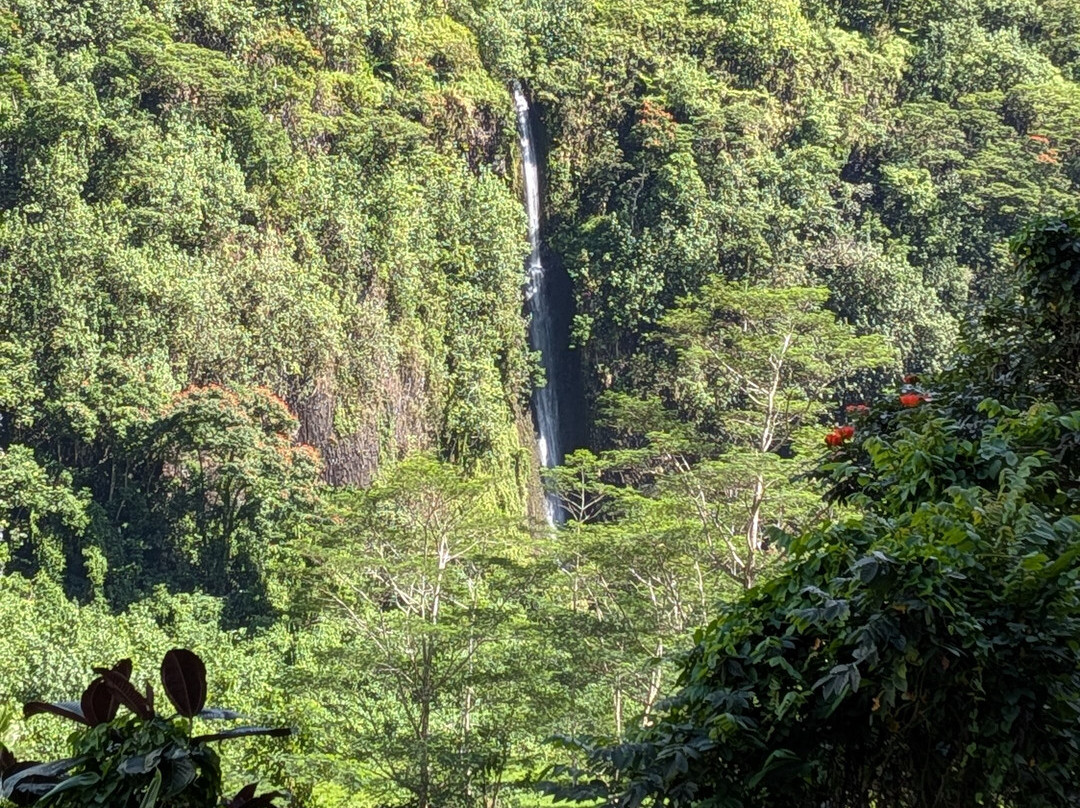 Vallée de la Papenoo-大溪地必去景点