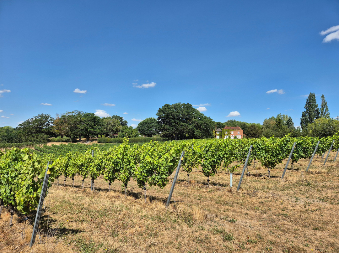 Missing Gate Vineyard-Woodham Ferrers必去景点