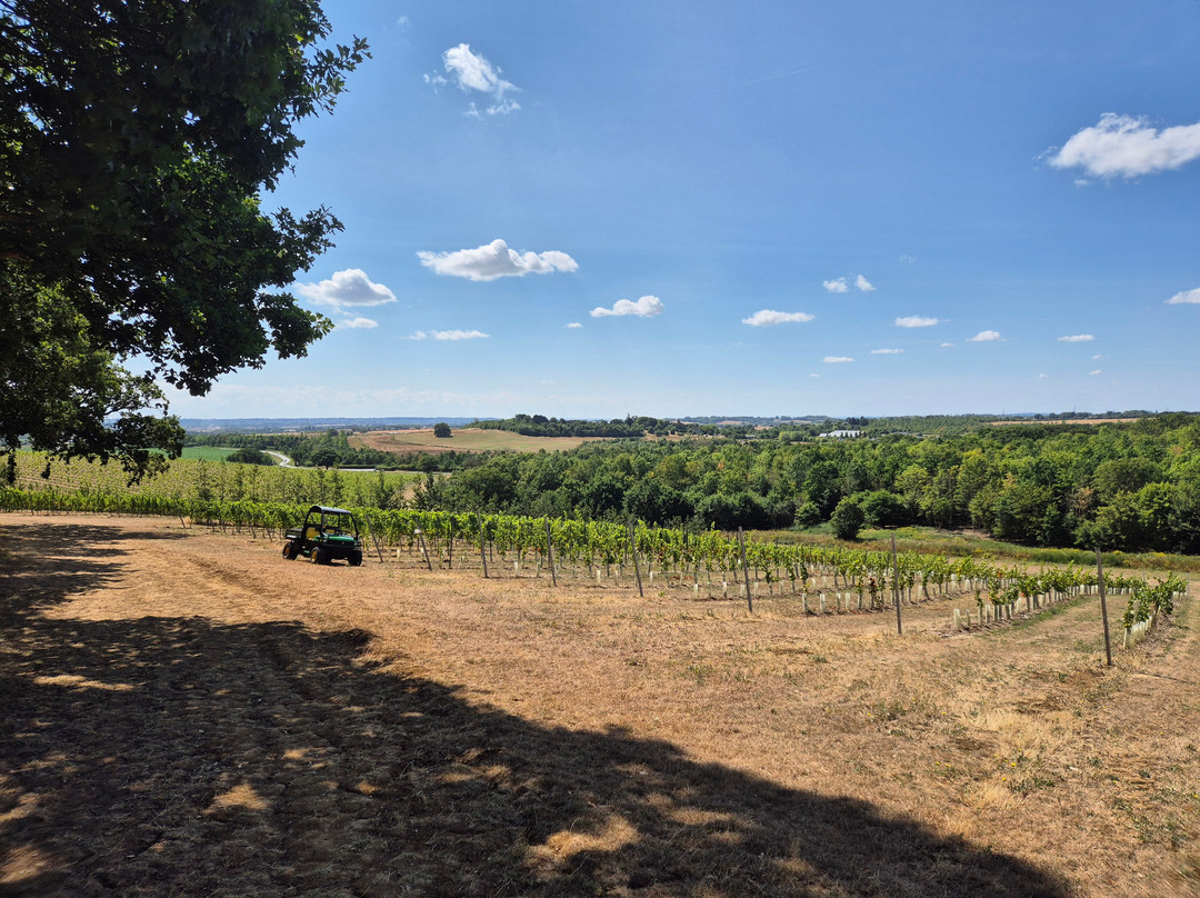Missing Gate Vineyard-Woodham Ferrers必去景点
