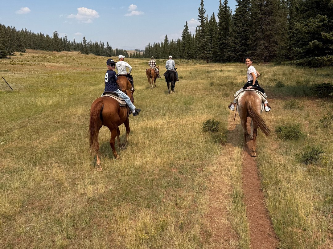 Platte Ranch Riding Stables-Fairplay必去景点