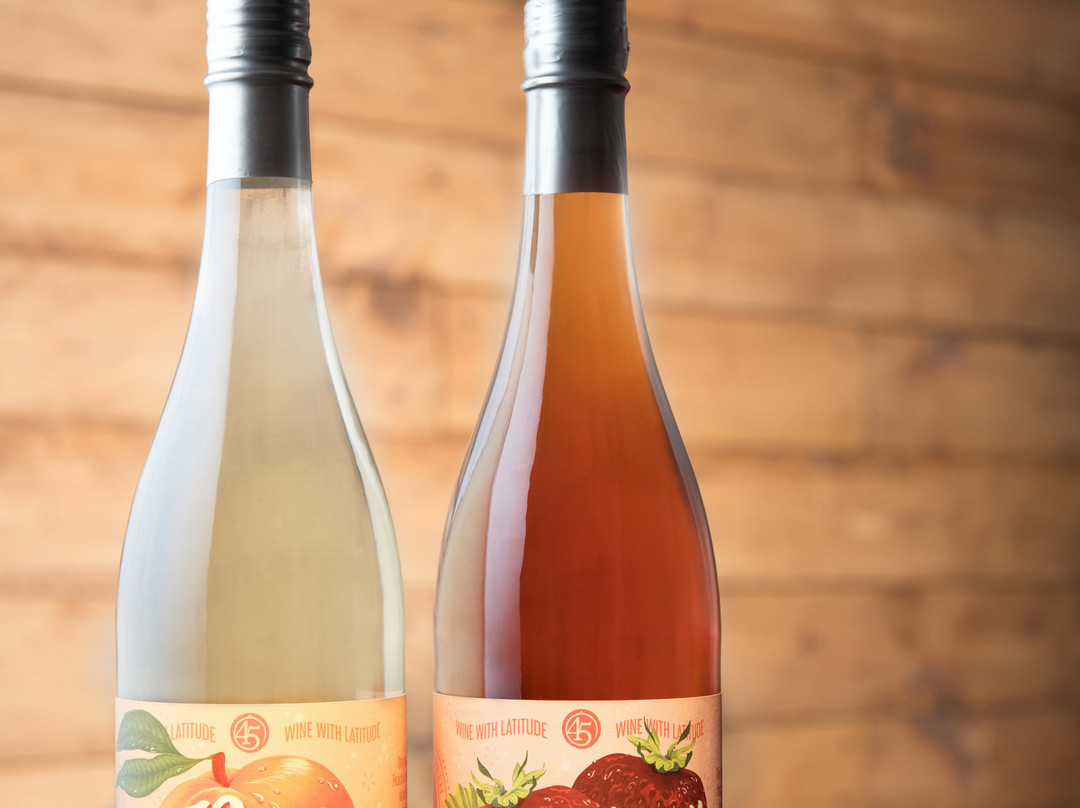 45 North Vineyard & Winery-Lake Leelanau必去景点