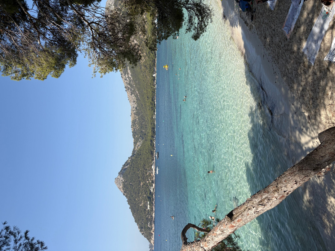 Playa de Formentor-Formentor必去景点