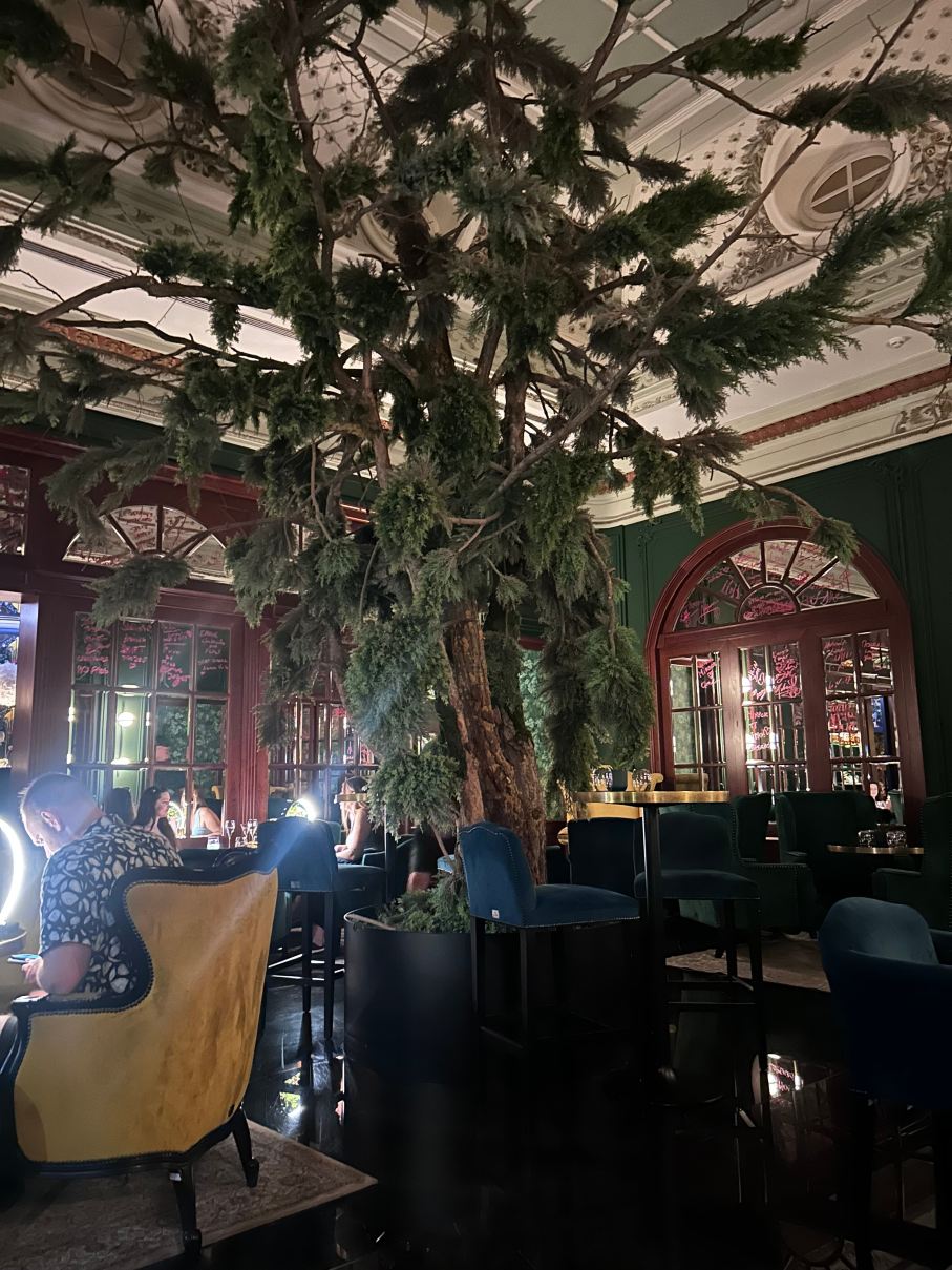 布拉迪斯拉发丽笙卡尔顿酒店-旅行者