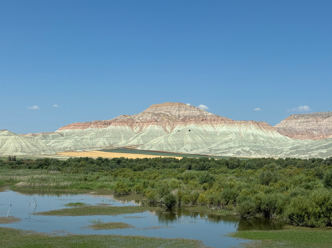 Nallıhan Bird Sanctuary-Nallihan必去景点