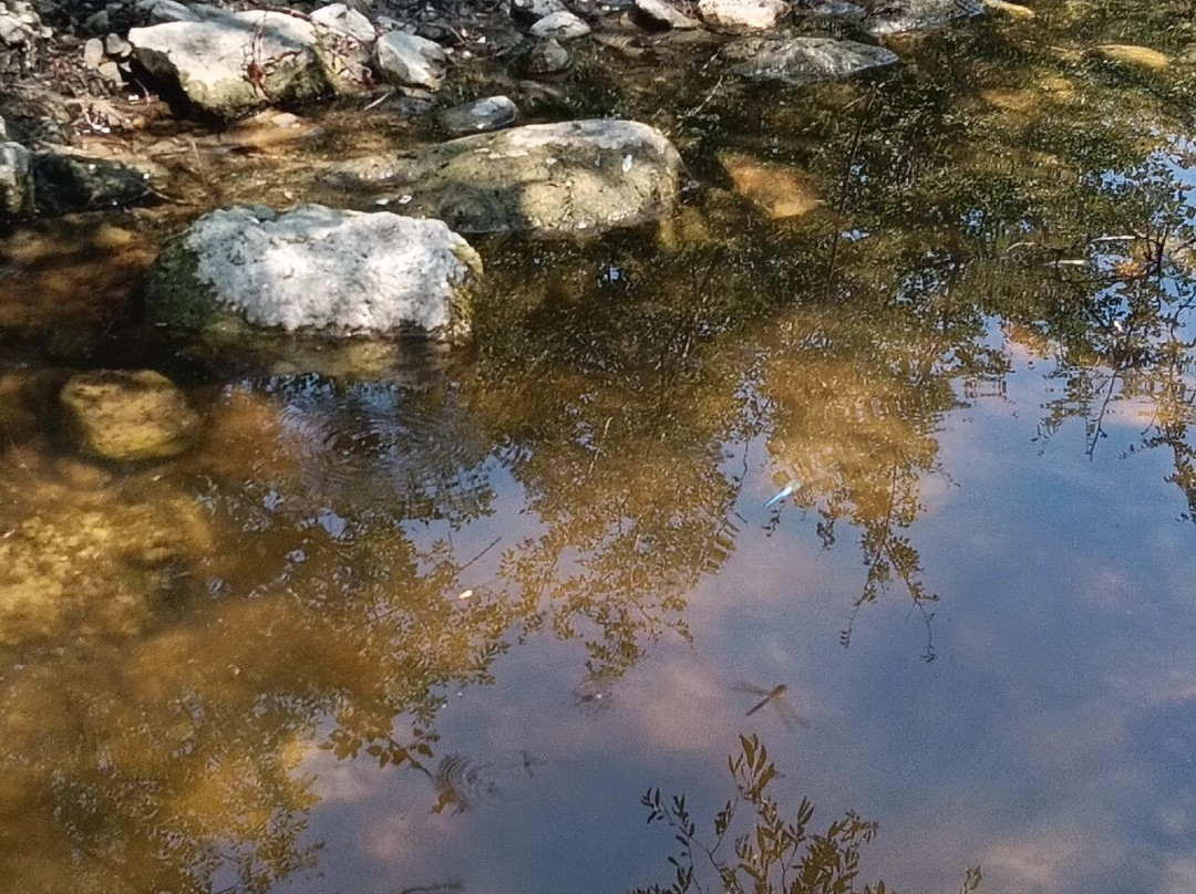 Riserva Naturale Regionale Guardiaregia-Campochiaro-Guardiaregia必去景点
