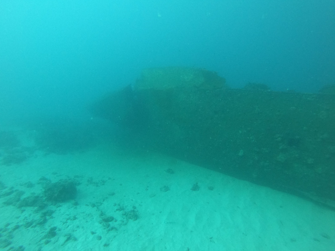 Orca Dive Club - Pereybere-Pereybere必去景点