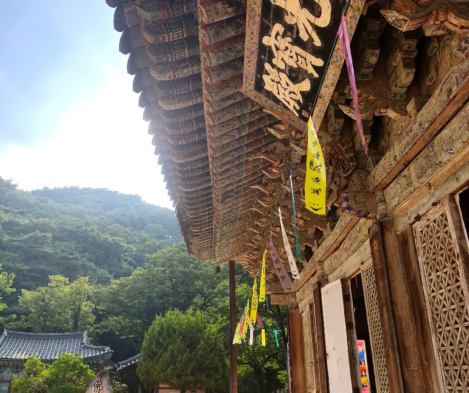 Magoksa Temple-公州市必去景点