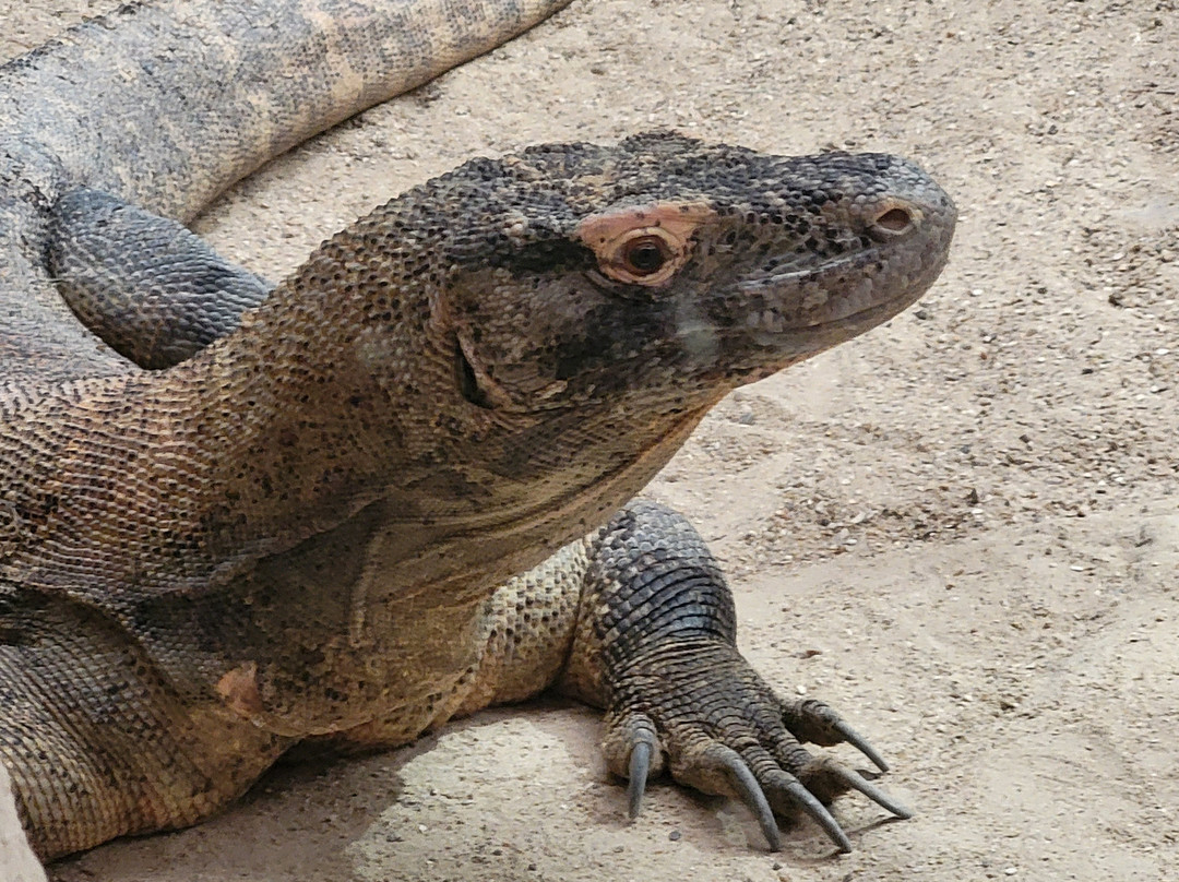 Les Jardins Animaliers Biotropica-Val de Reuil必去景点