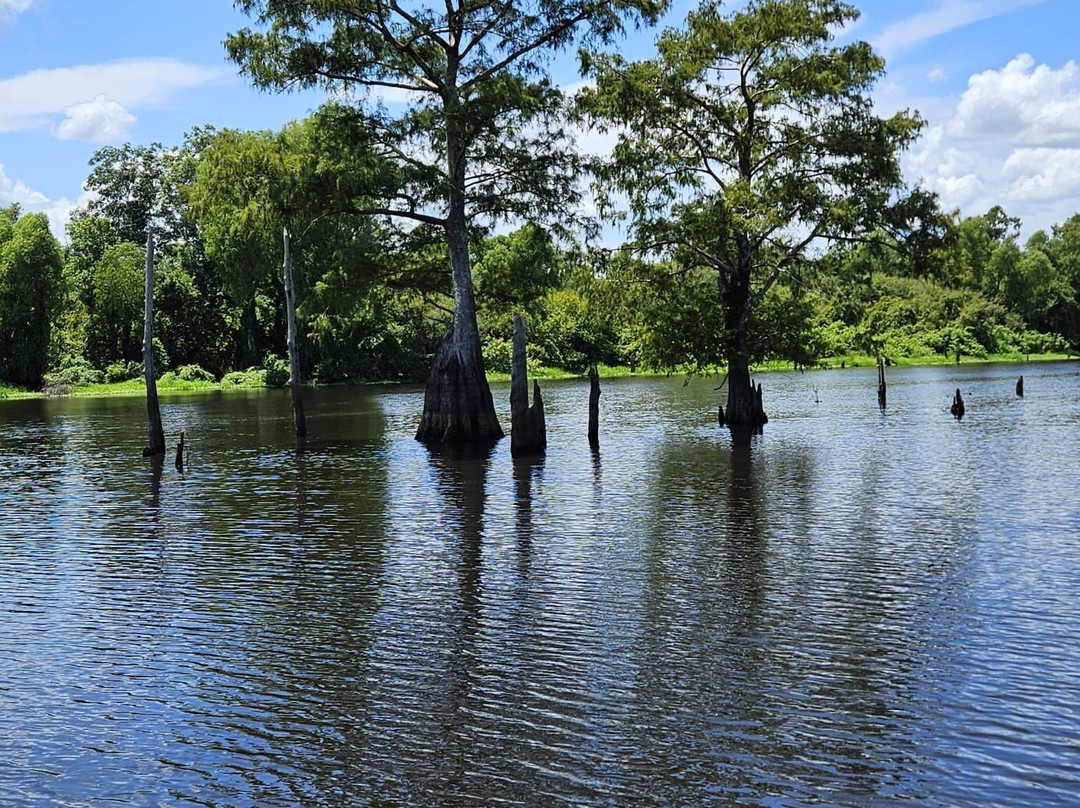 Atchafalaya Basin Landing & Airboat Swamp Tours-布里奥克斯桥必去景点