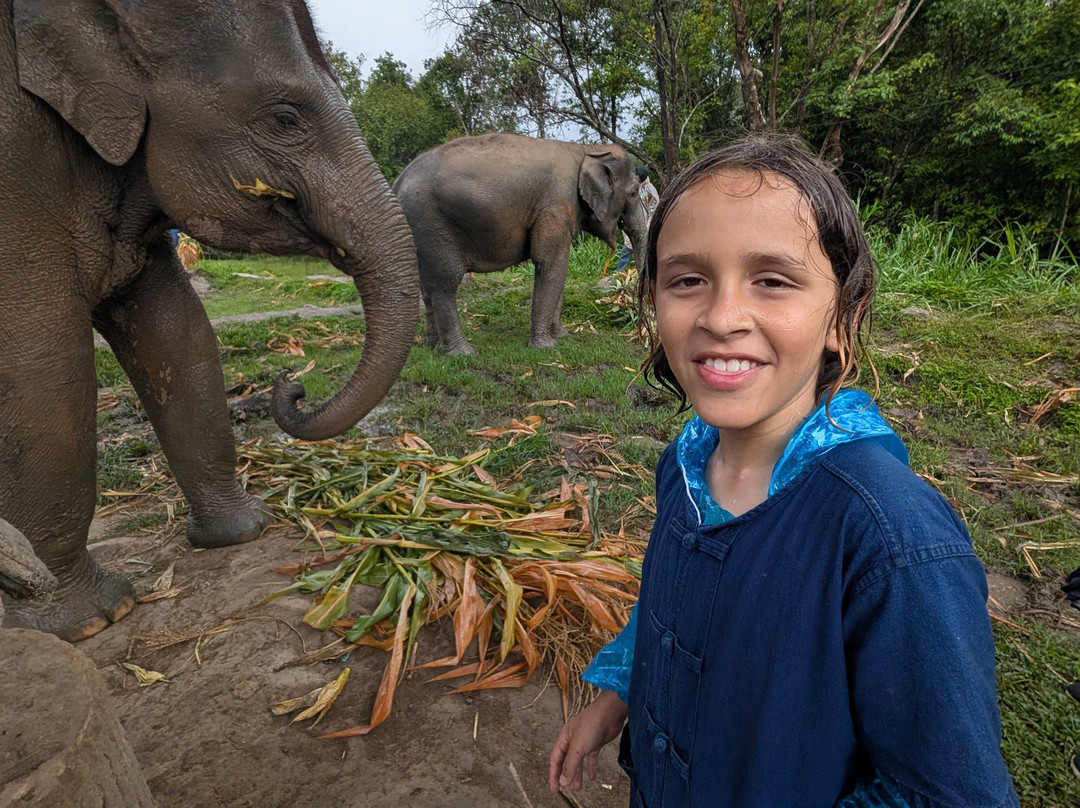 Living Green Elephant Sanctuary-清迈必去景点